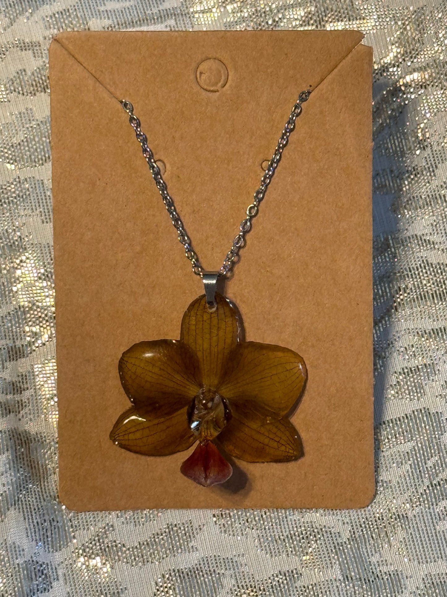 Orquídeas reales