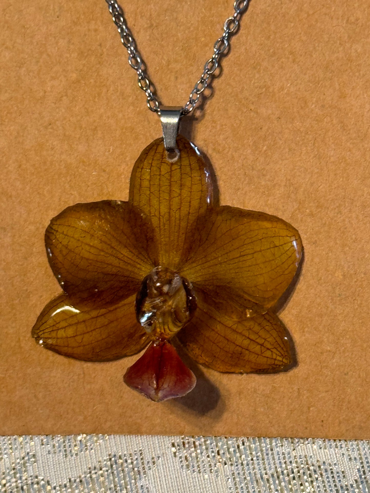 Orquídeas reales