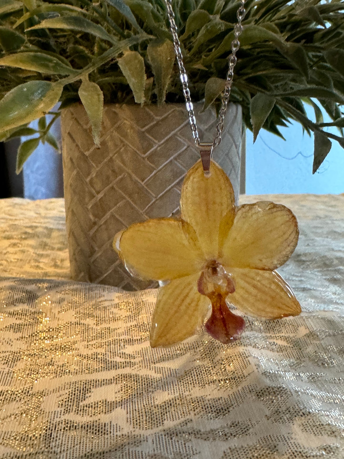 Orquídeas reales