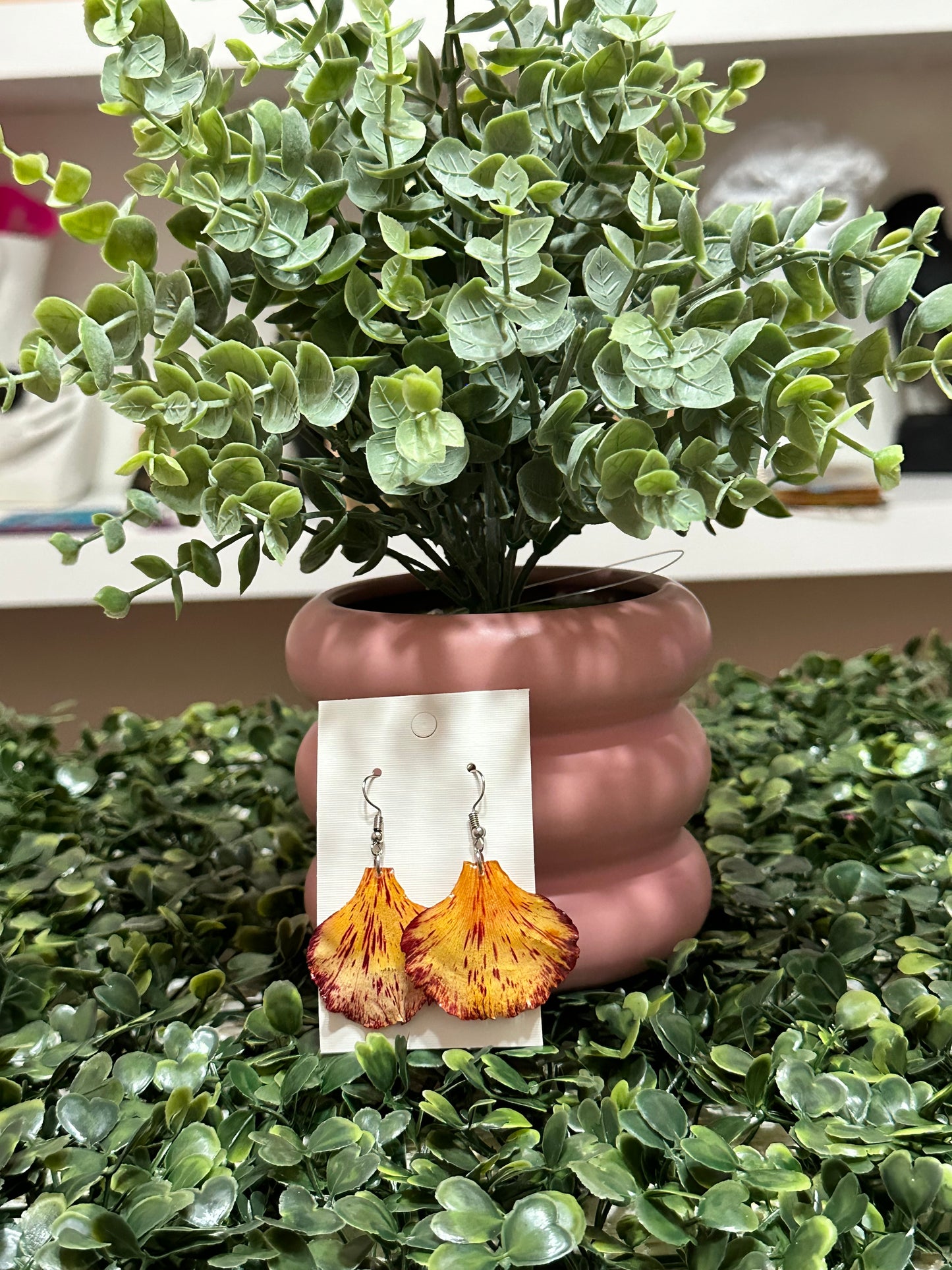 Pétalos de flamboyan de P.R.