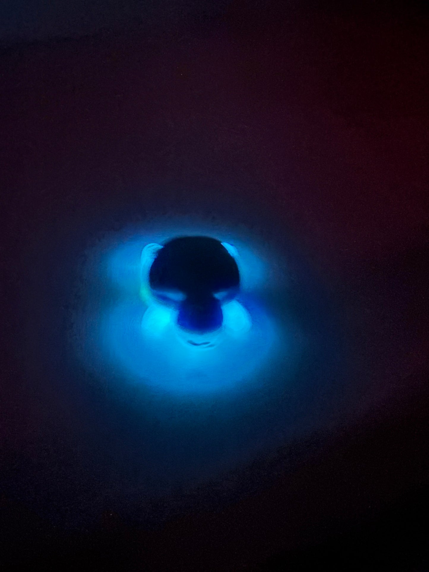 Tortuga en arena de playa Glow in the dark