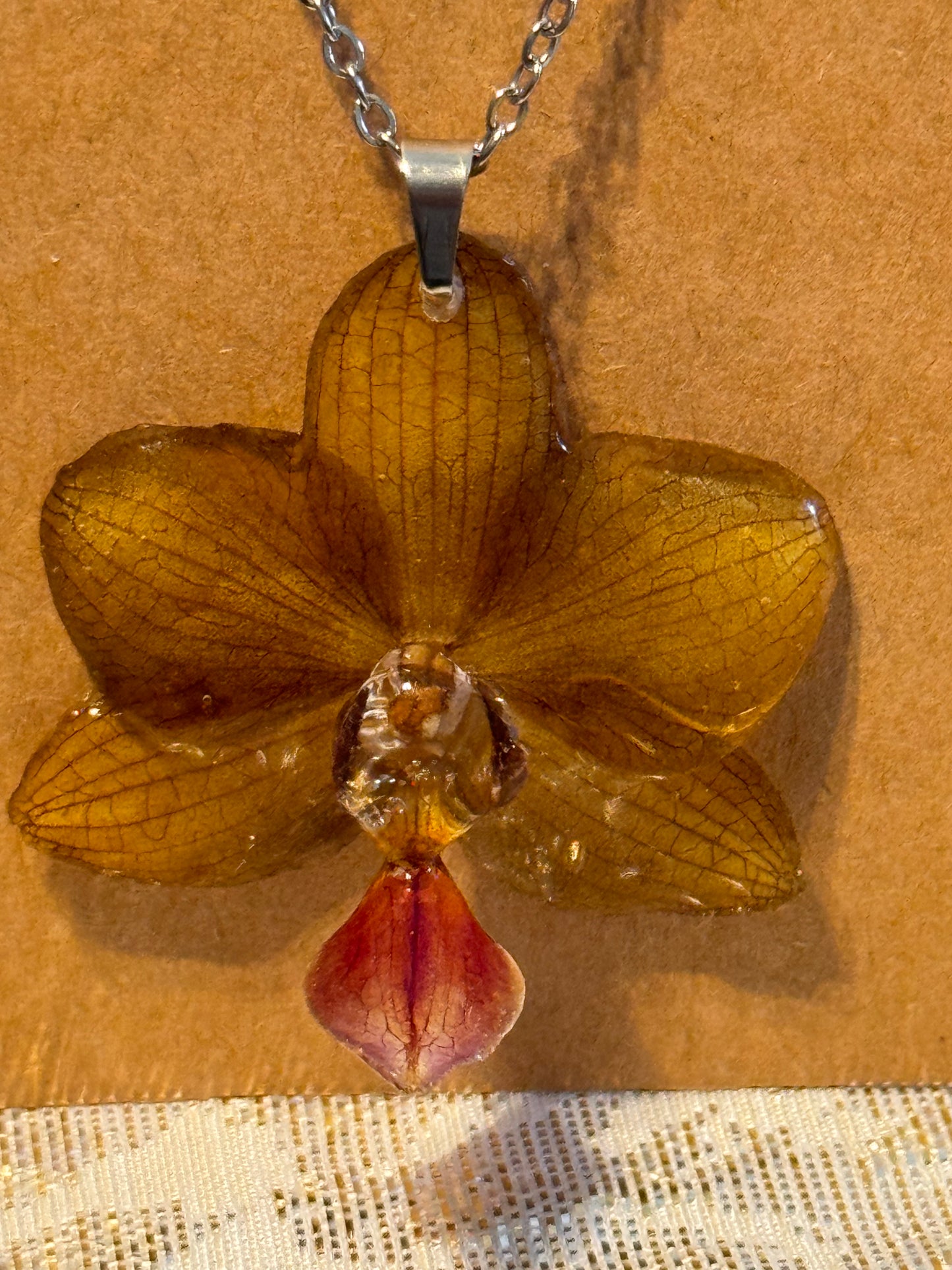 Orquídeas reales