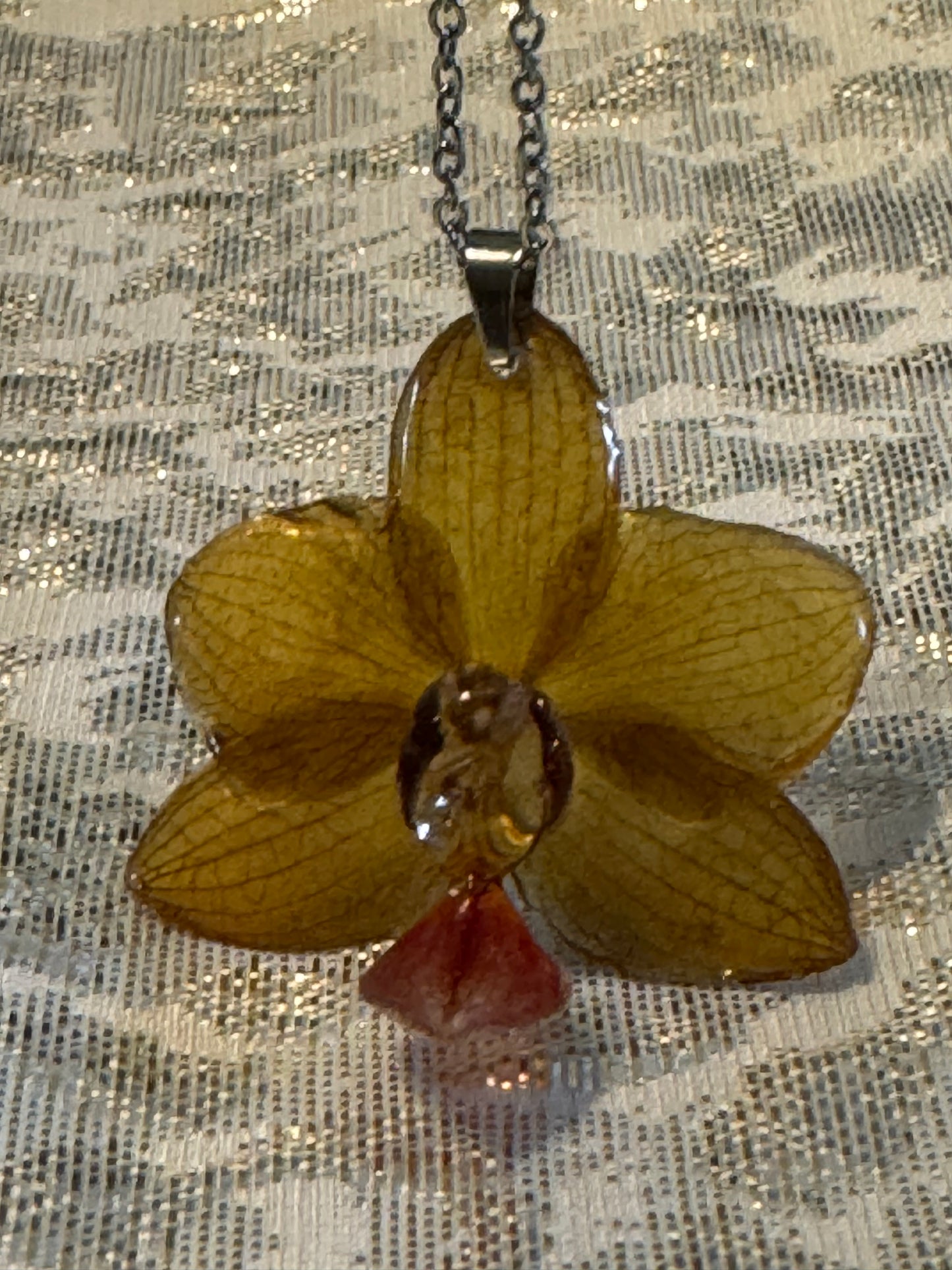 Orquídeas reales