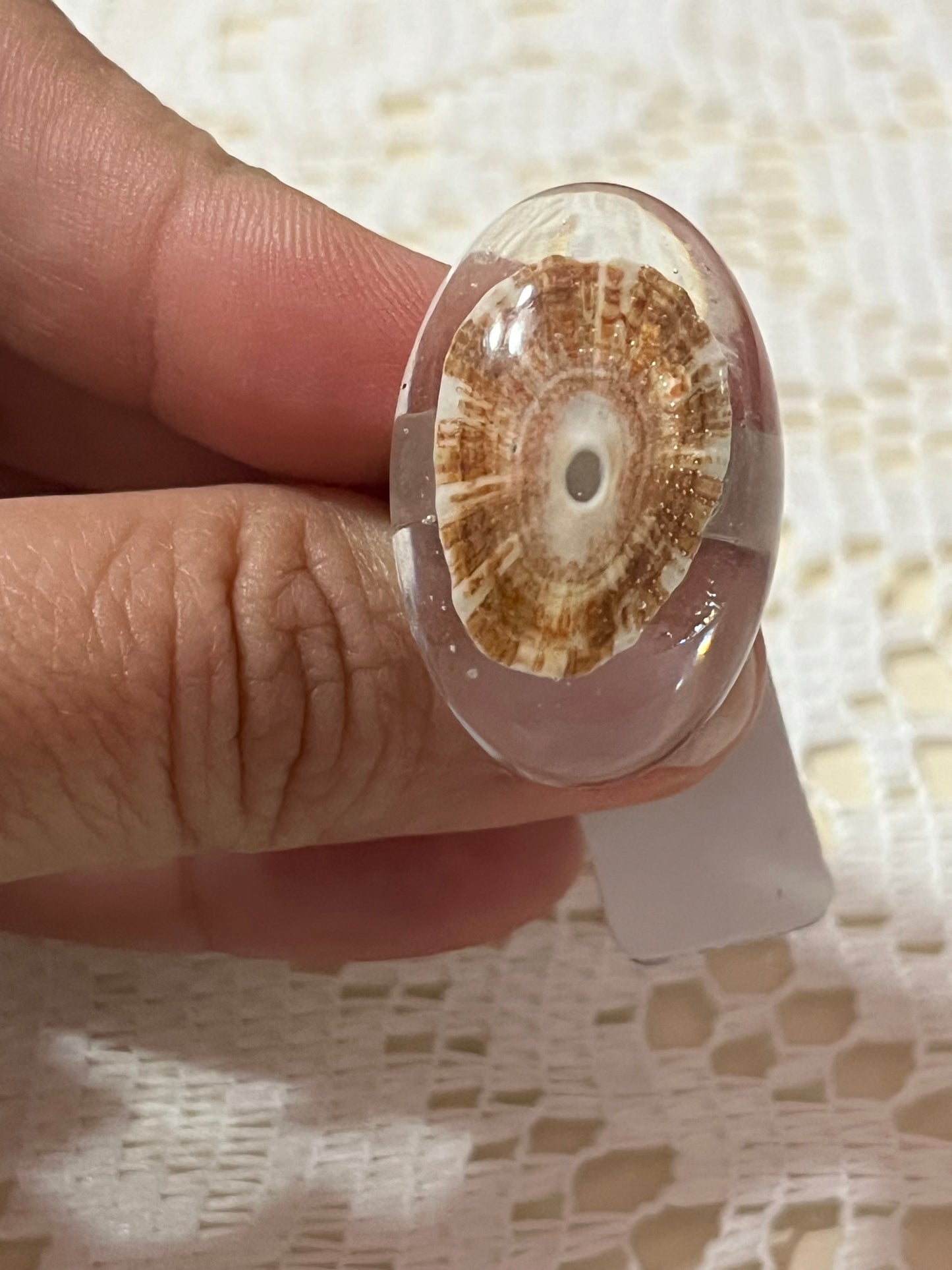 Sortija artesanal encapsulado de caracoles