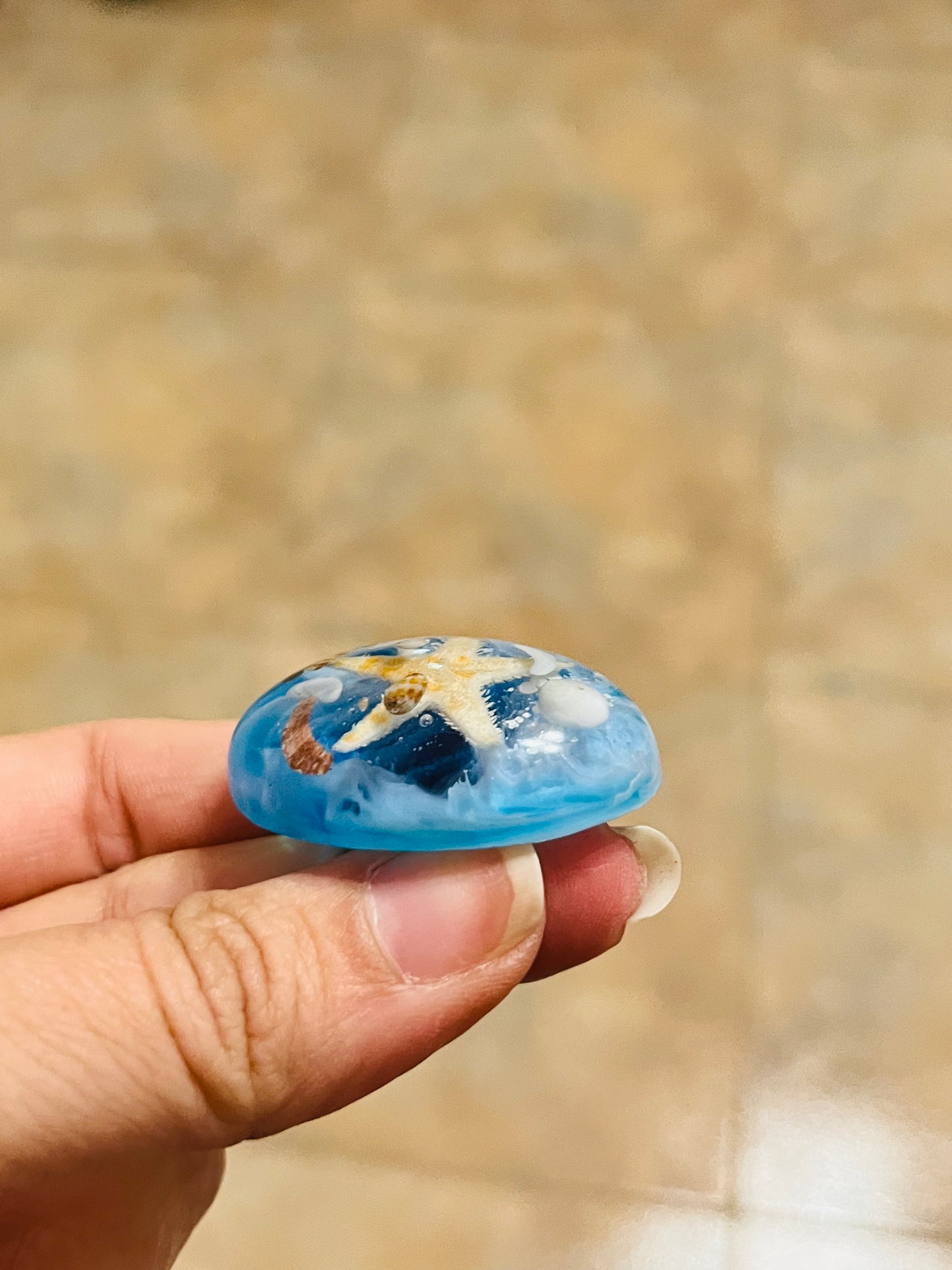 Sortija 3D encapsulado de caracoles y Estrella de mar