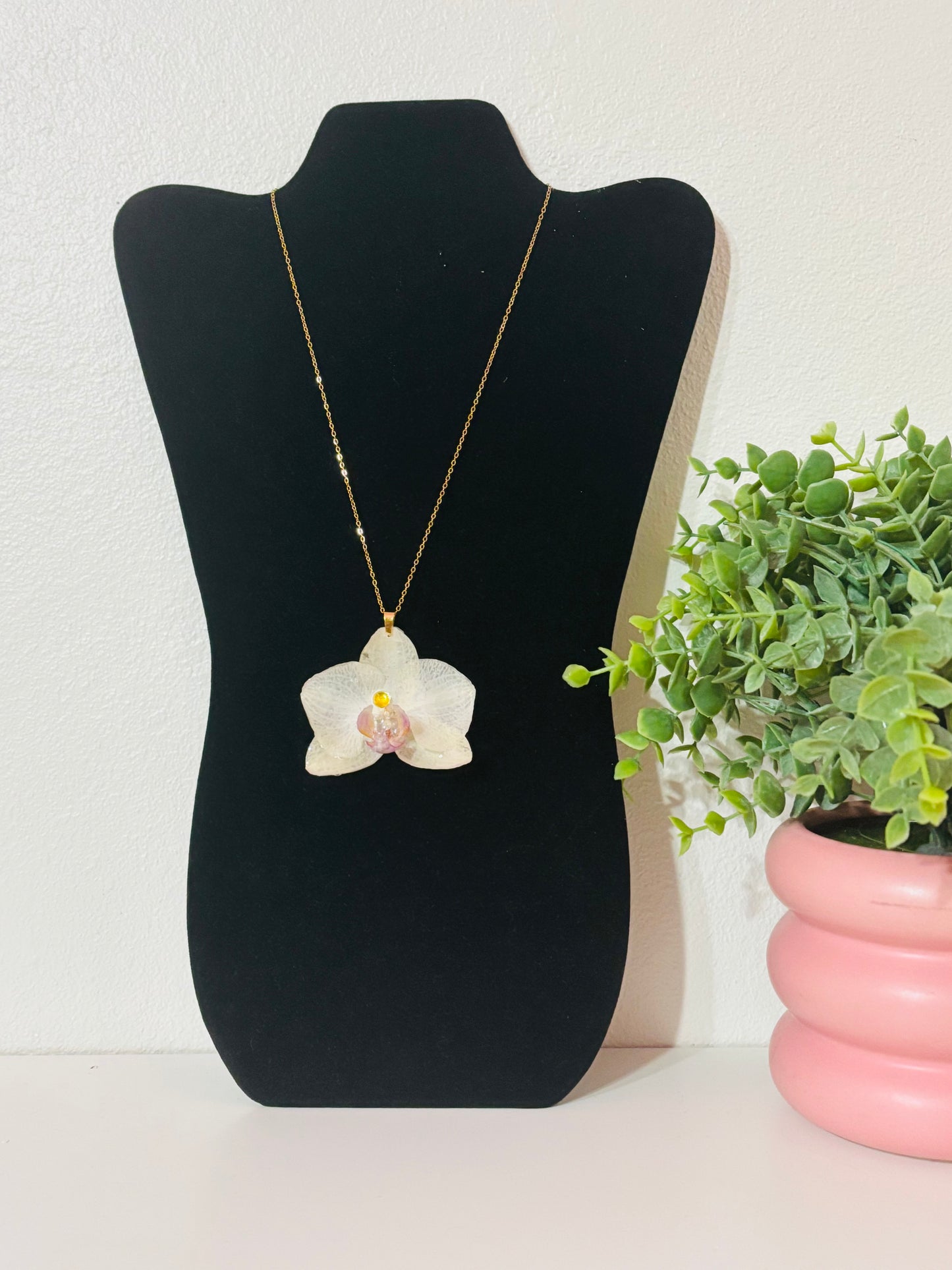 Orquídea real vitrificada