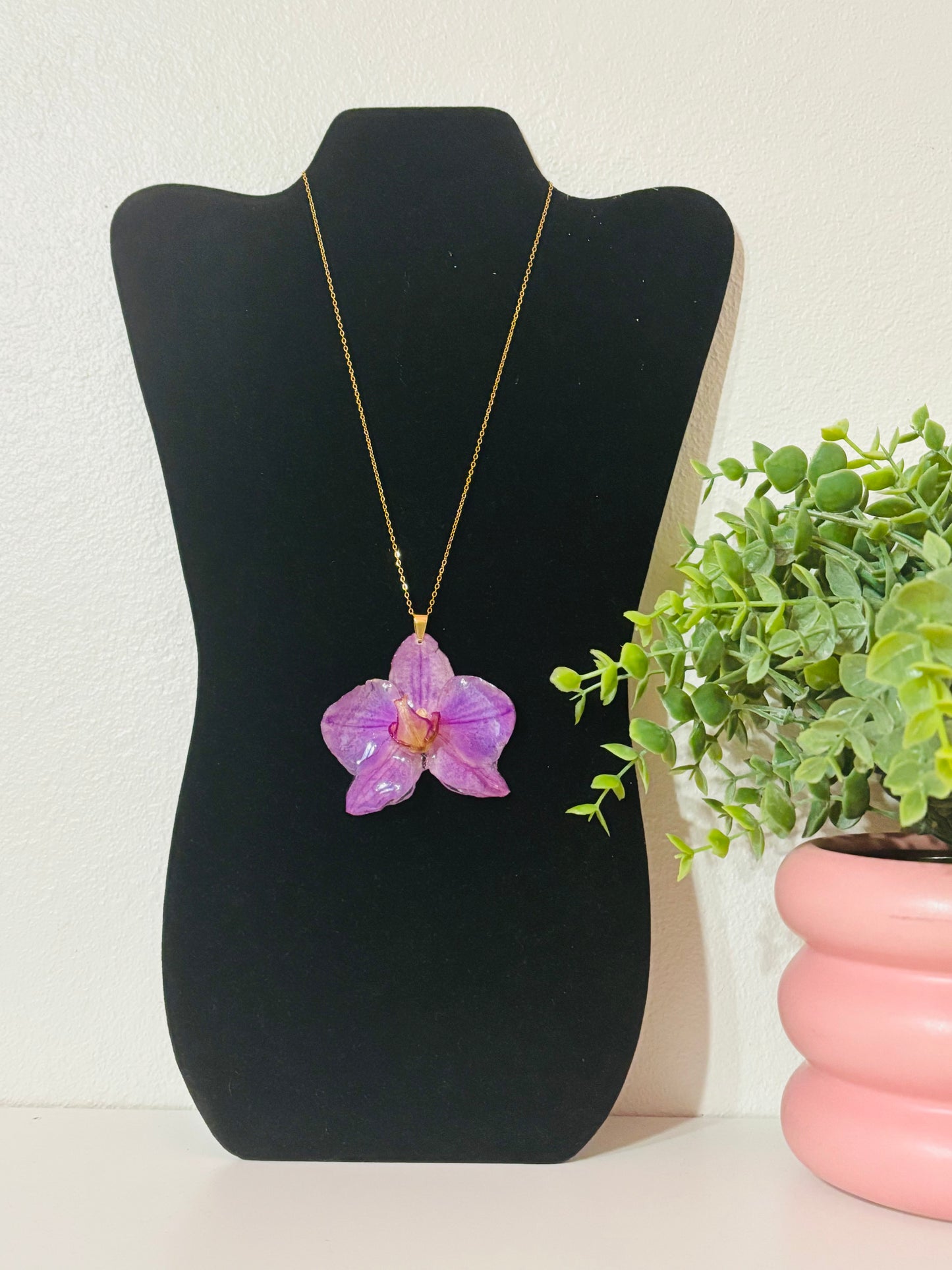 Orquídea vitrificada