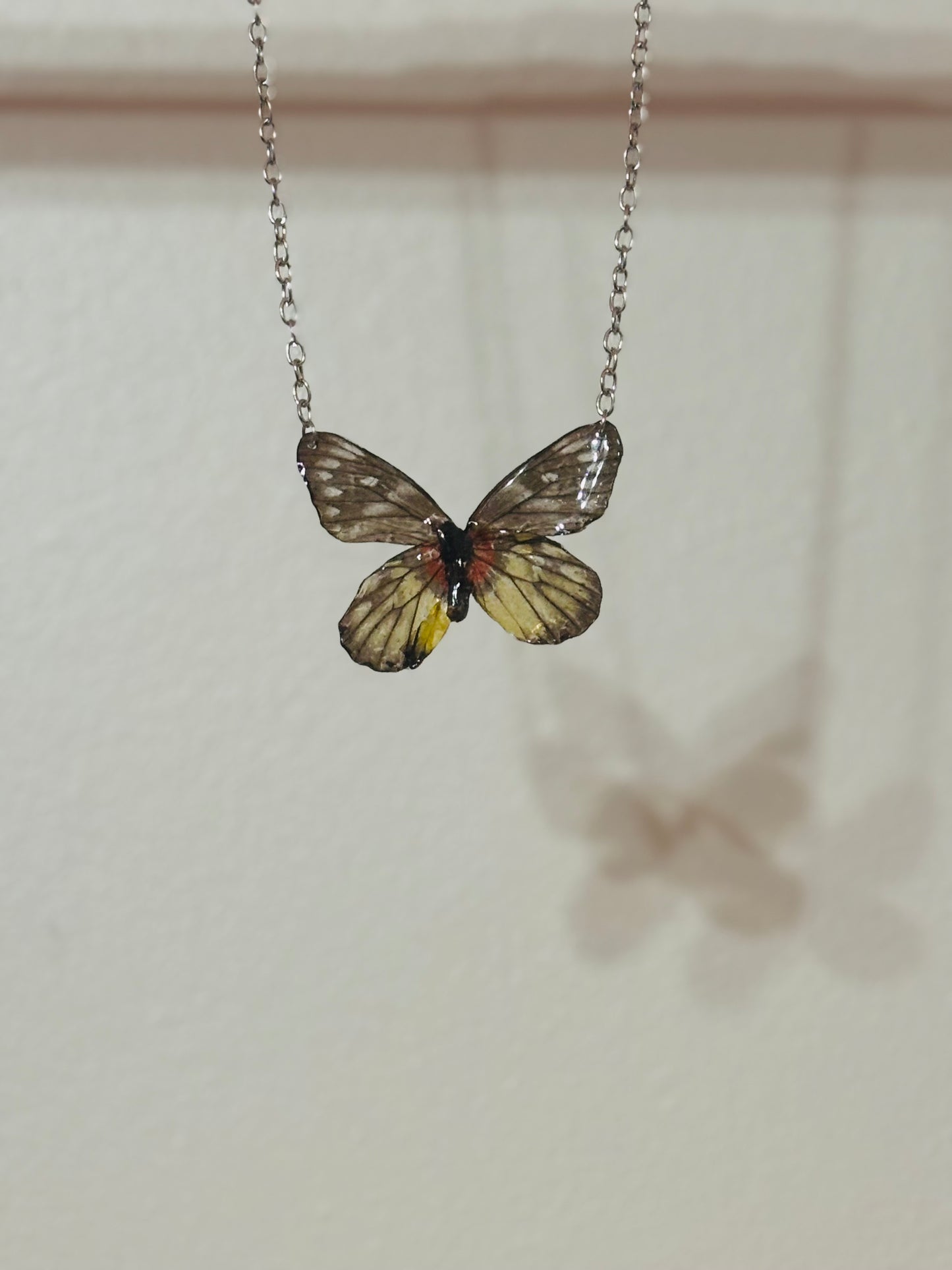 Mariposa real vitrificada
