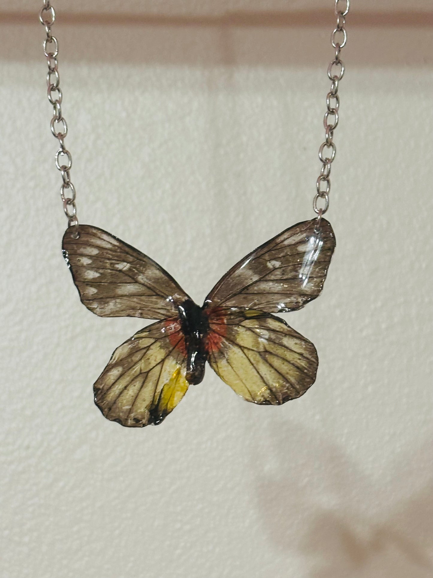 Mariposa real vitrificada