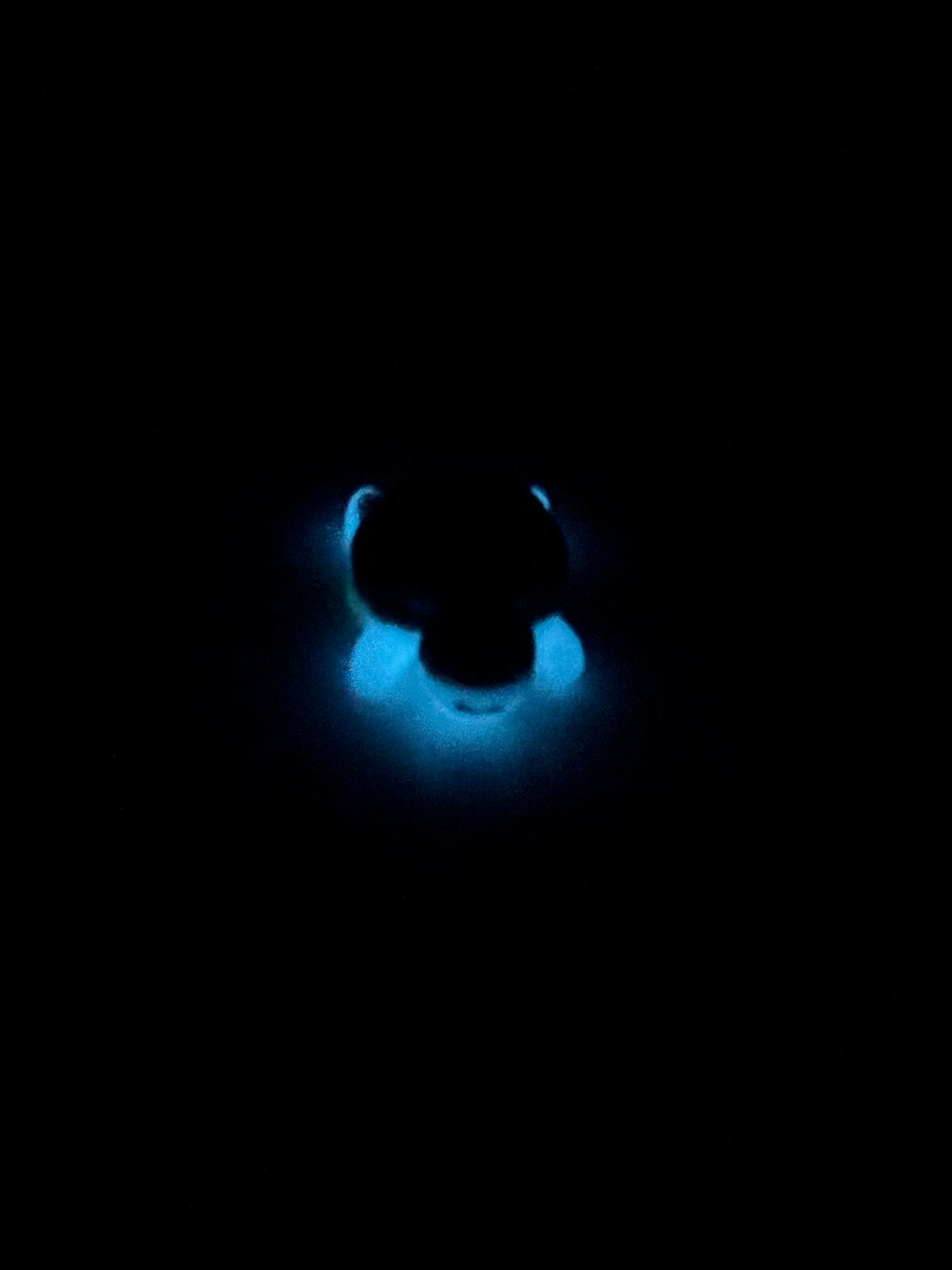 Tortuga en arena de playa Glow in the dark
