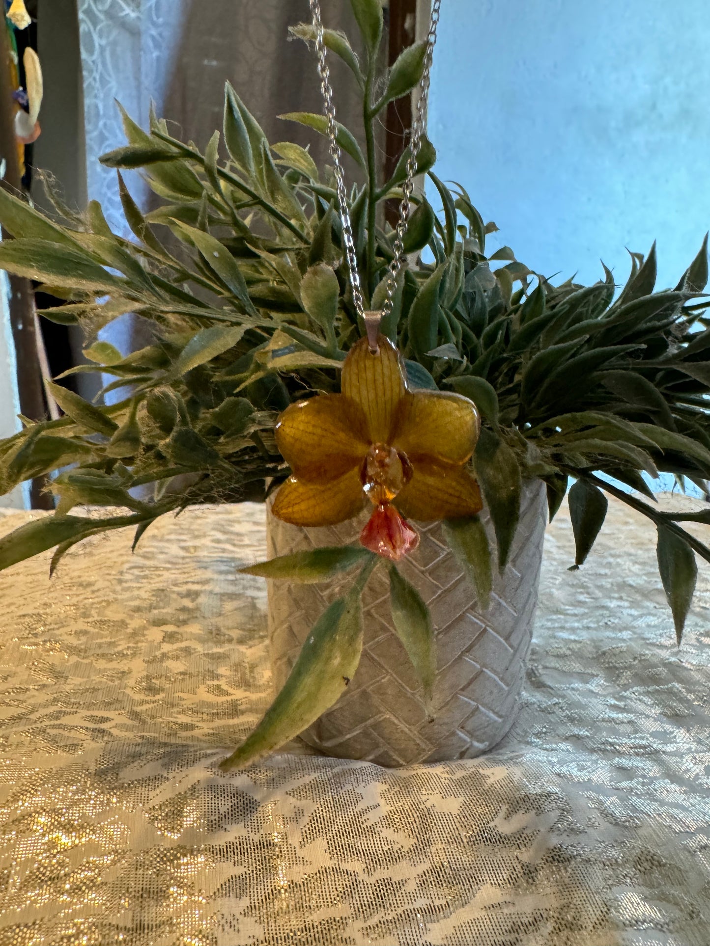 Orquídeas reales