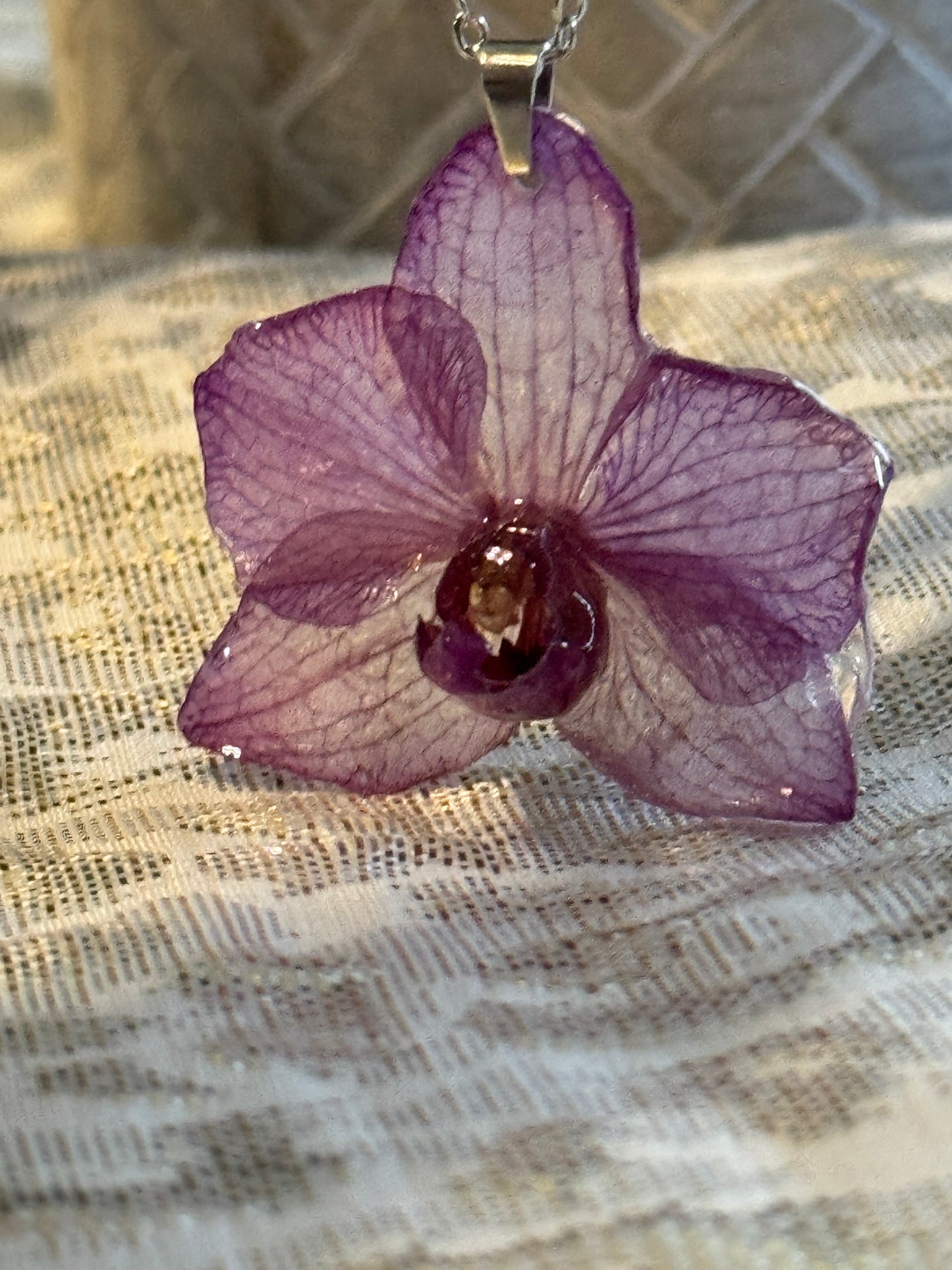 Orquídeas pequeñas reales