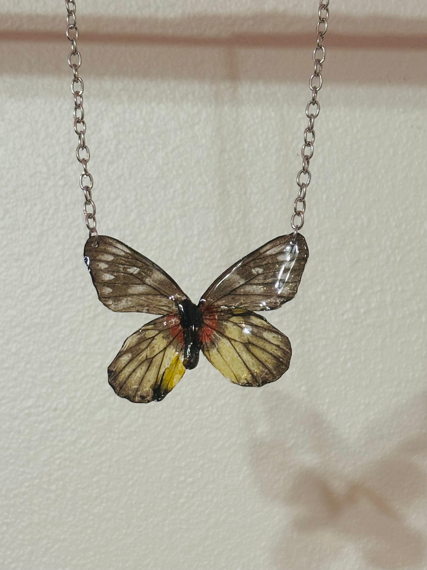 Mariposa real vitrificada