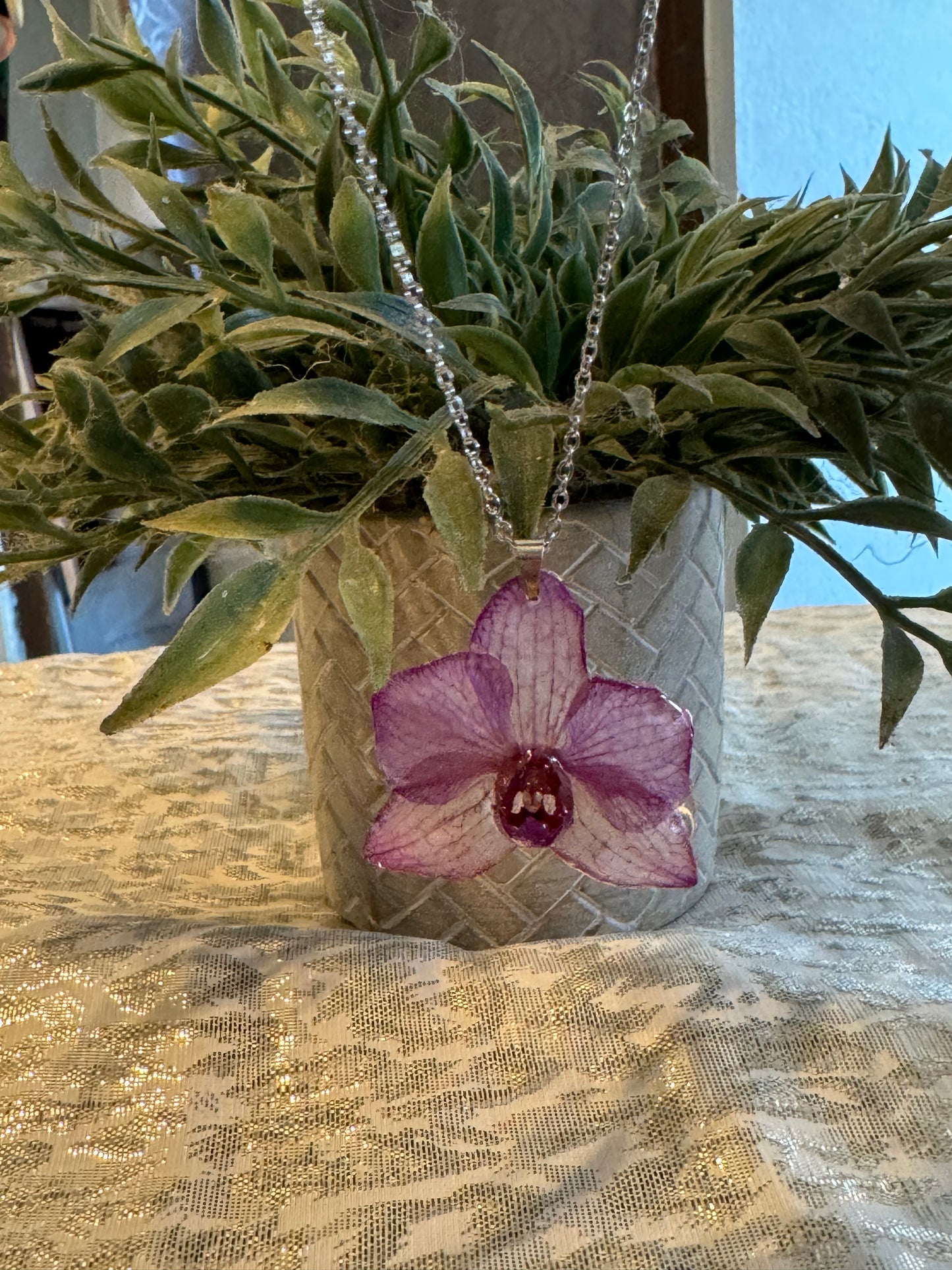 Orquídeas pequeñas reales