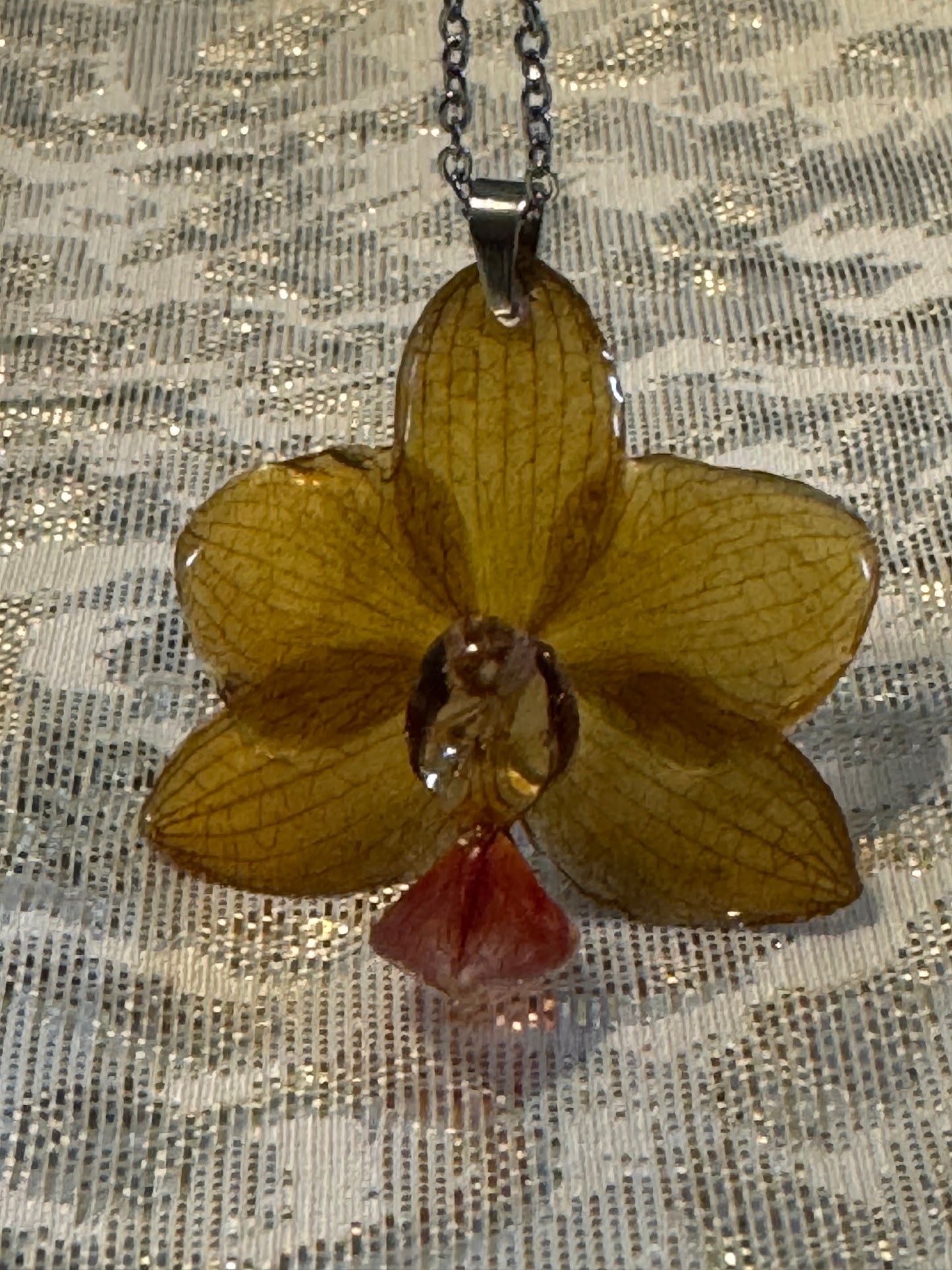 Orquídeas reales