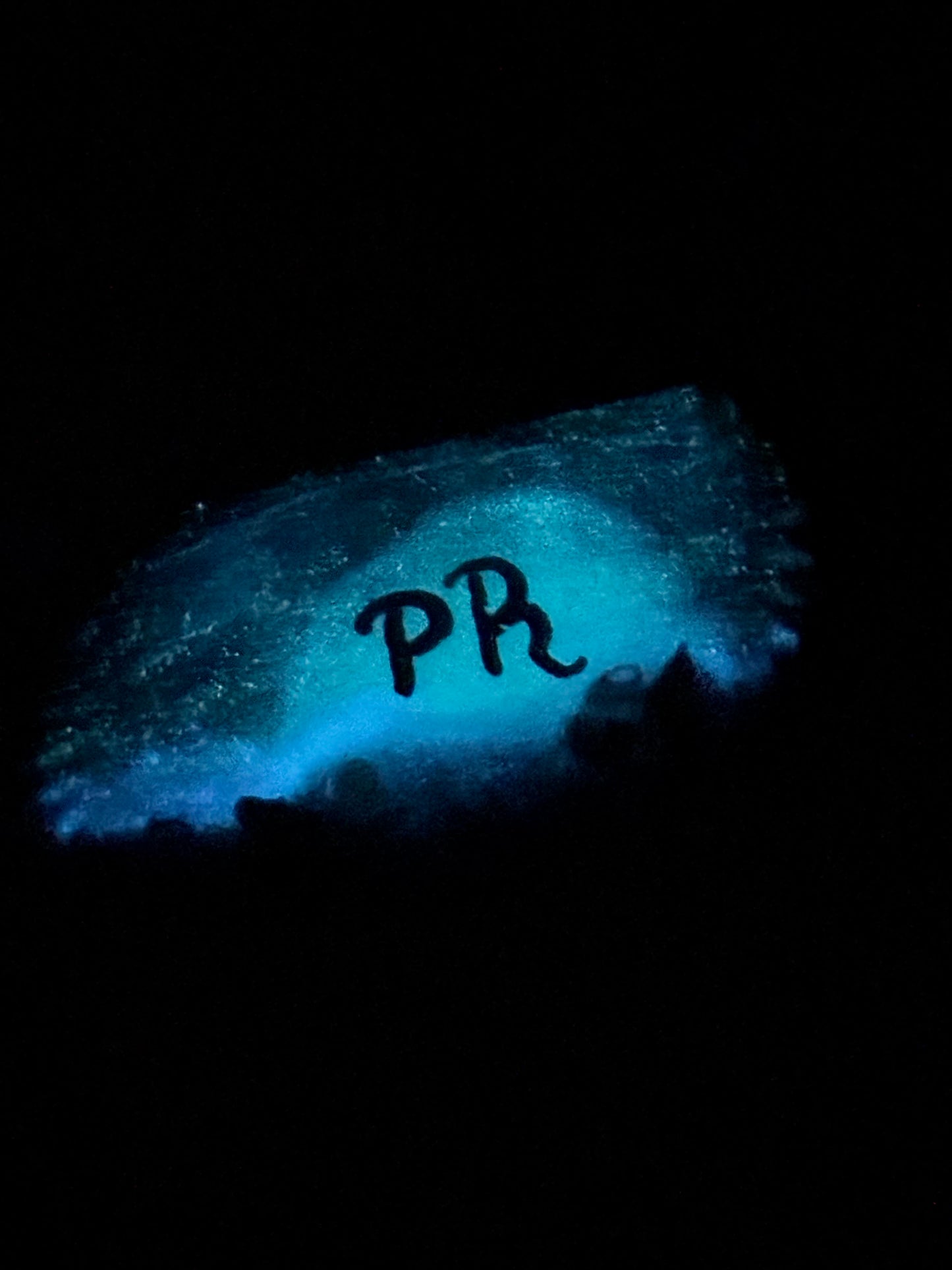 Caracol de playa Cabo Rojo pintado a mano Glow in the dark