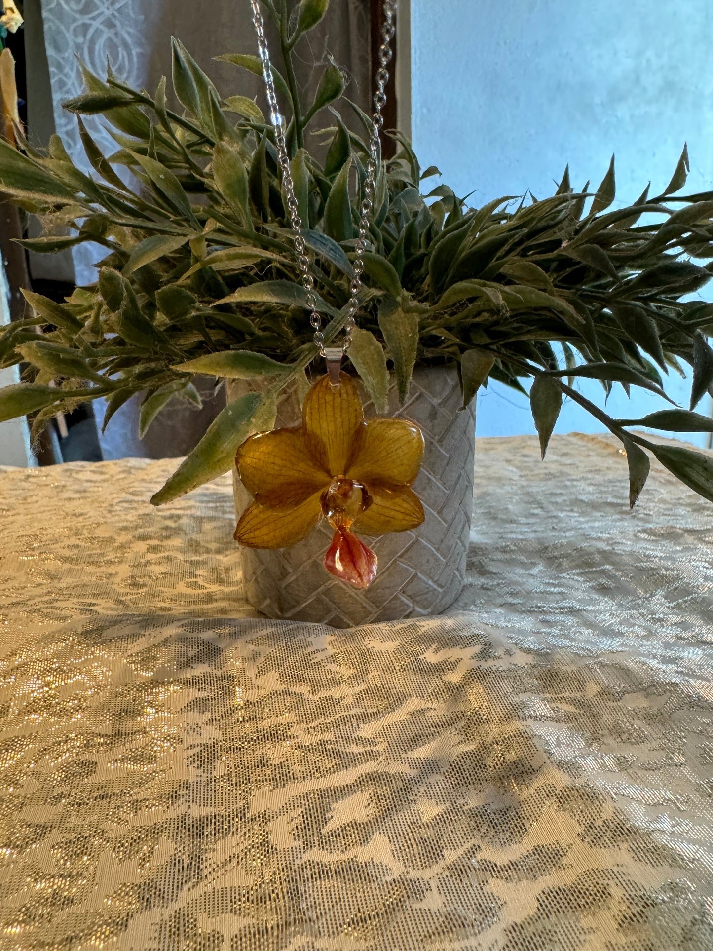 Orquídeas reales