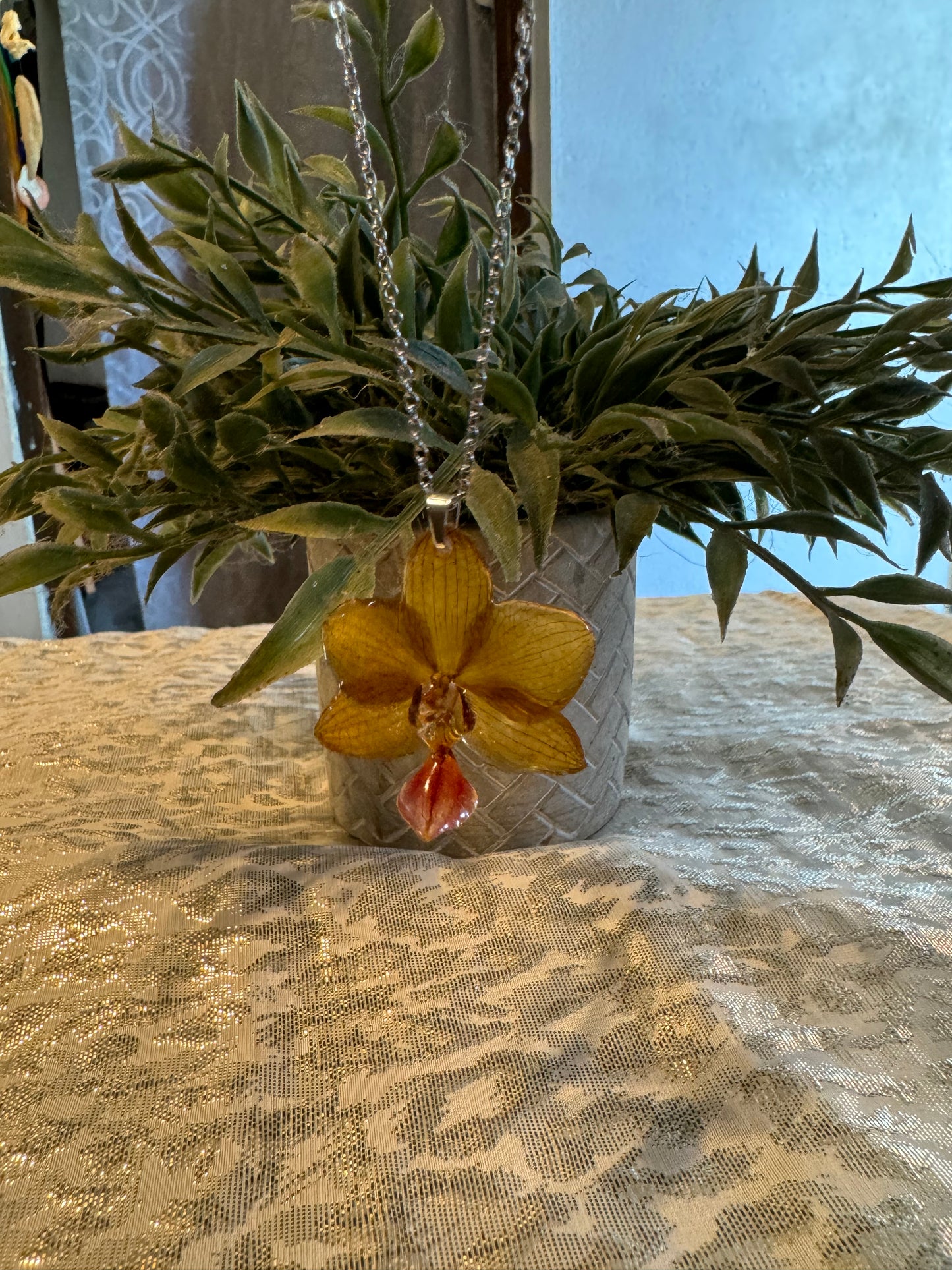 Orquídeas reales