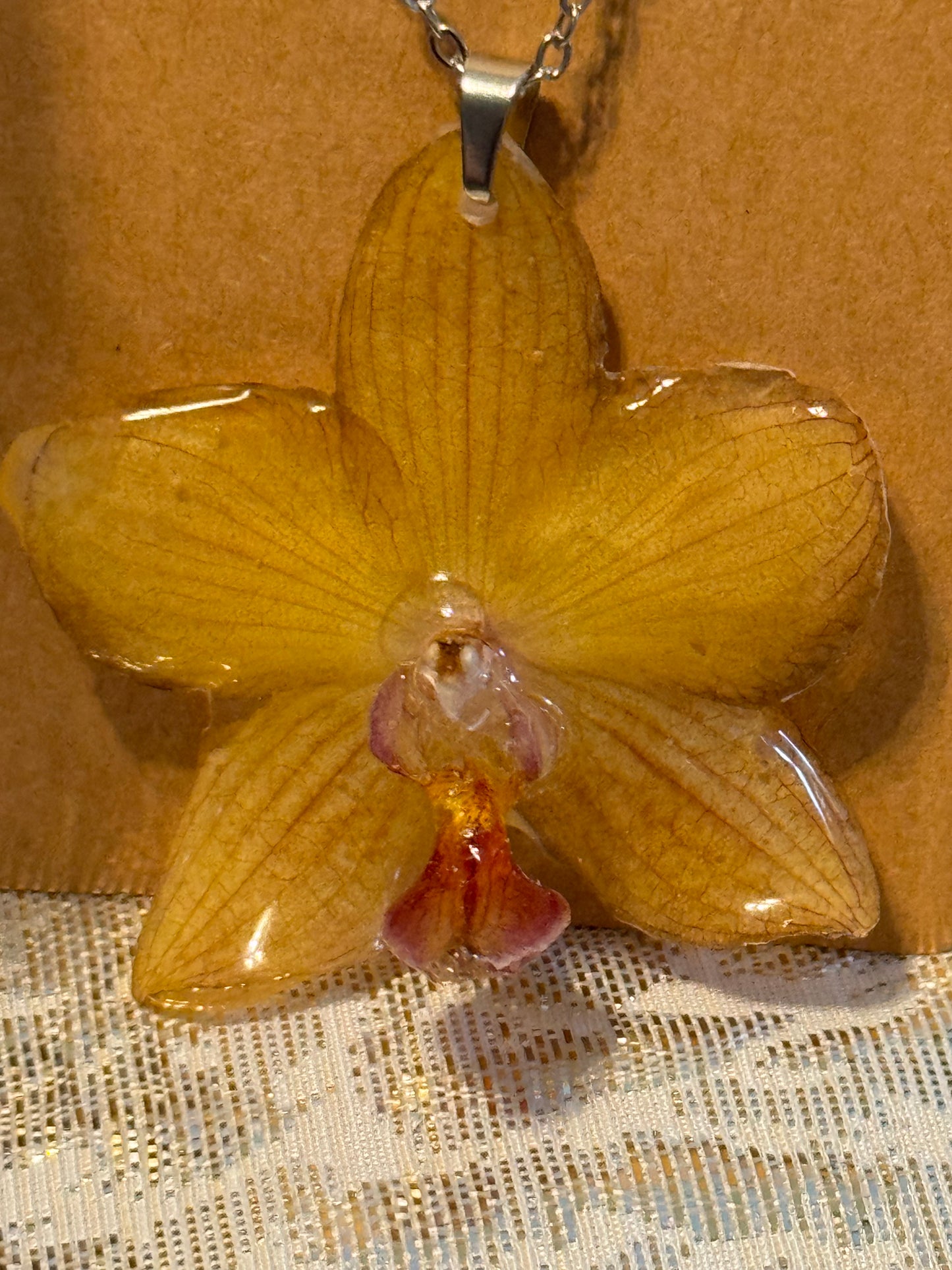 Orquídeas reales