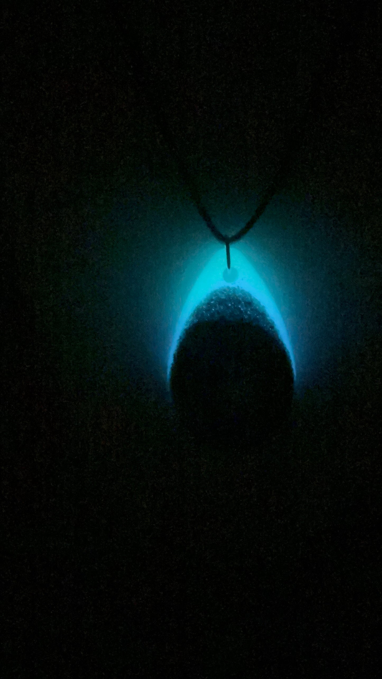 Collar Glow in the dark arena Aguadilla