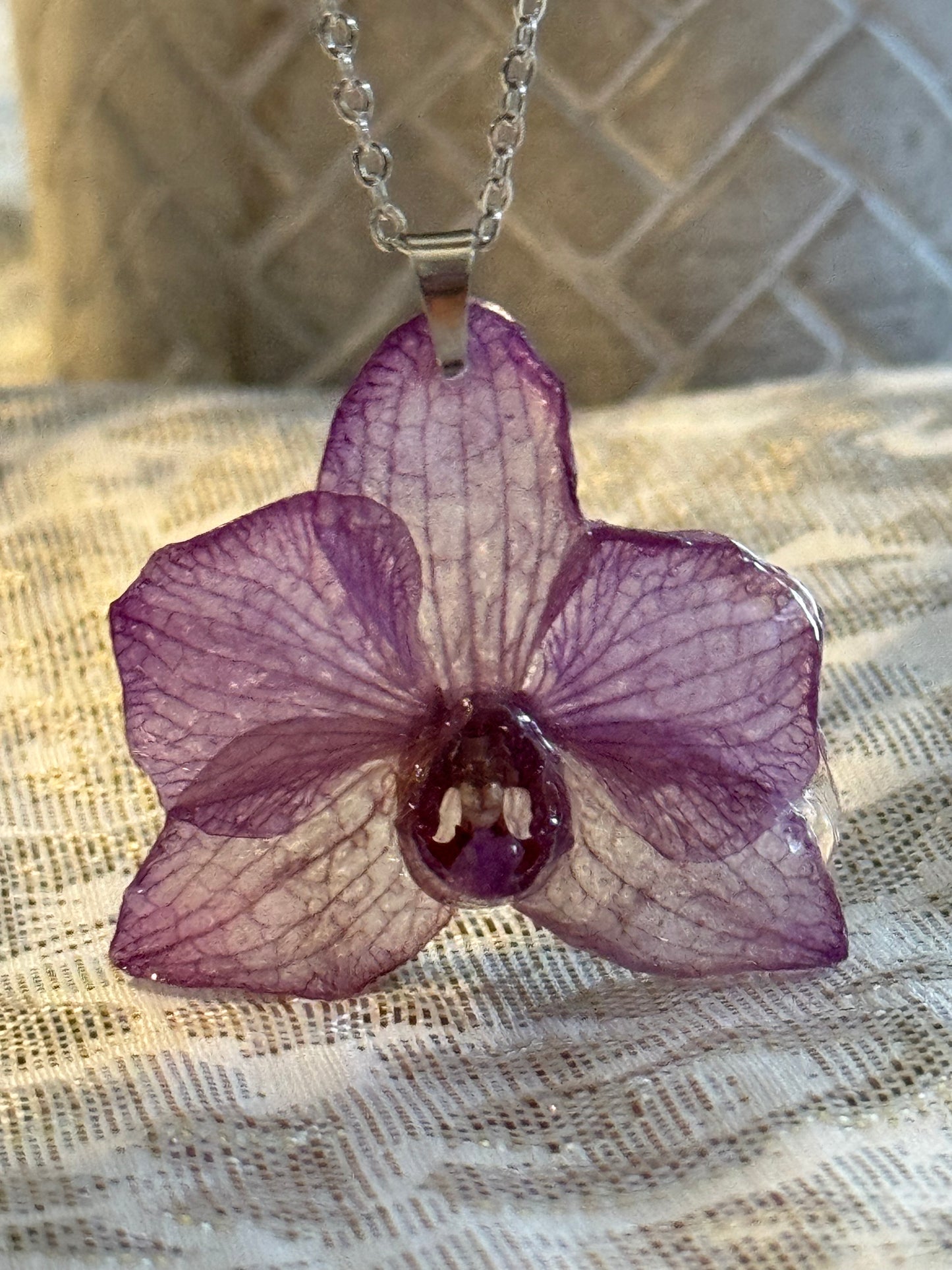 Orquídeas pequeñas reales