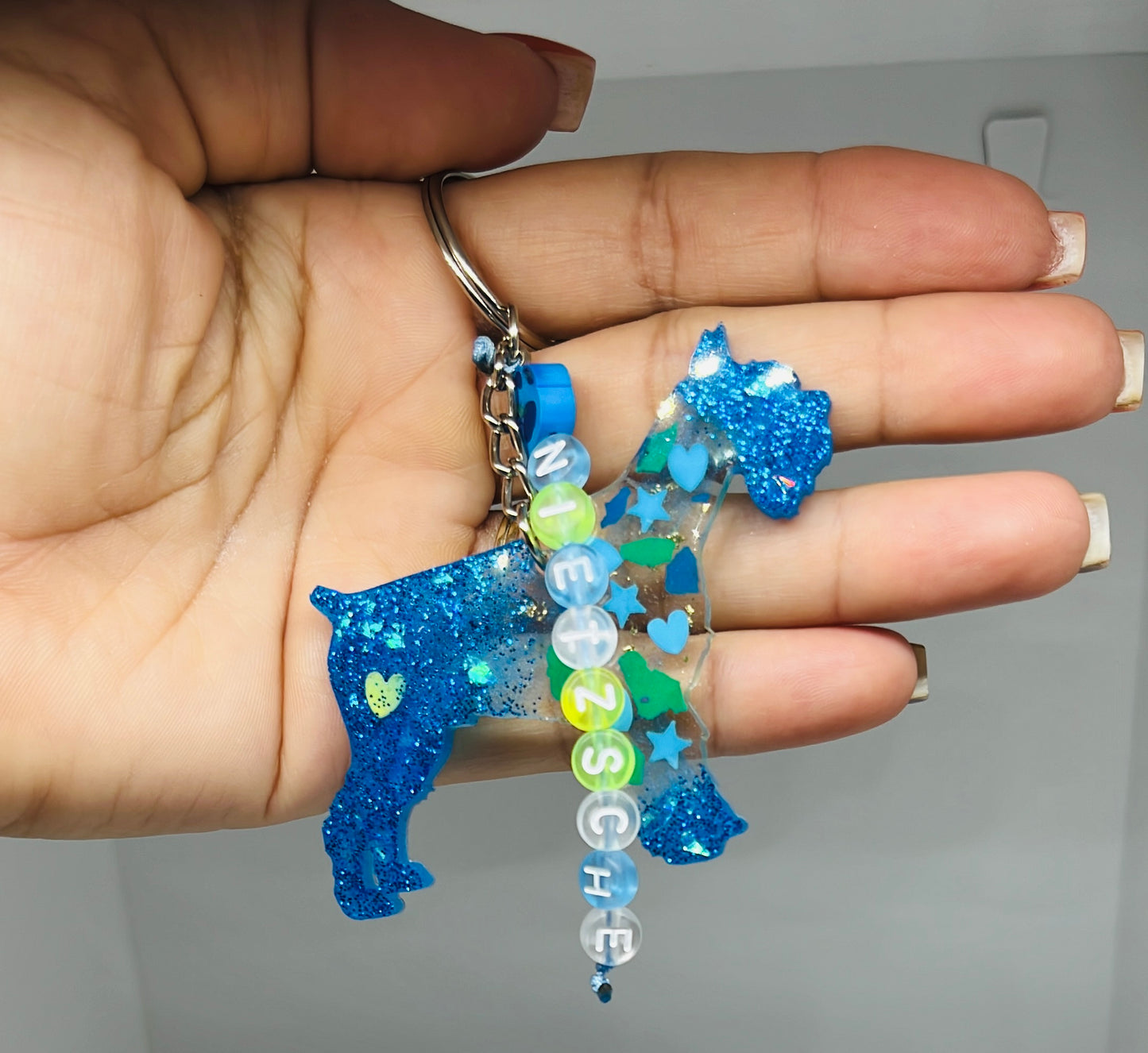 Llavero schnauzer