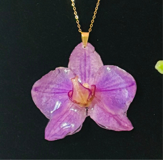 Orquídea vitrificada
