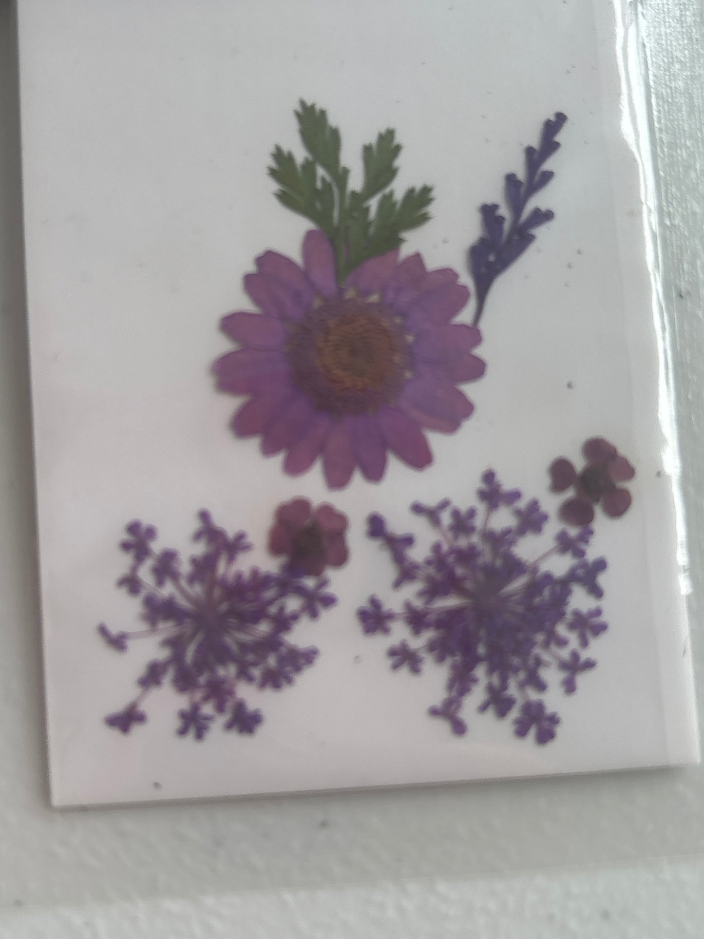 Flores secas