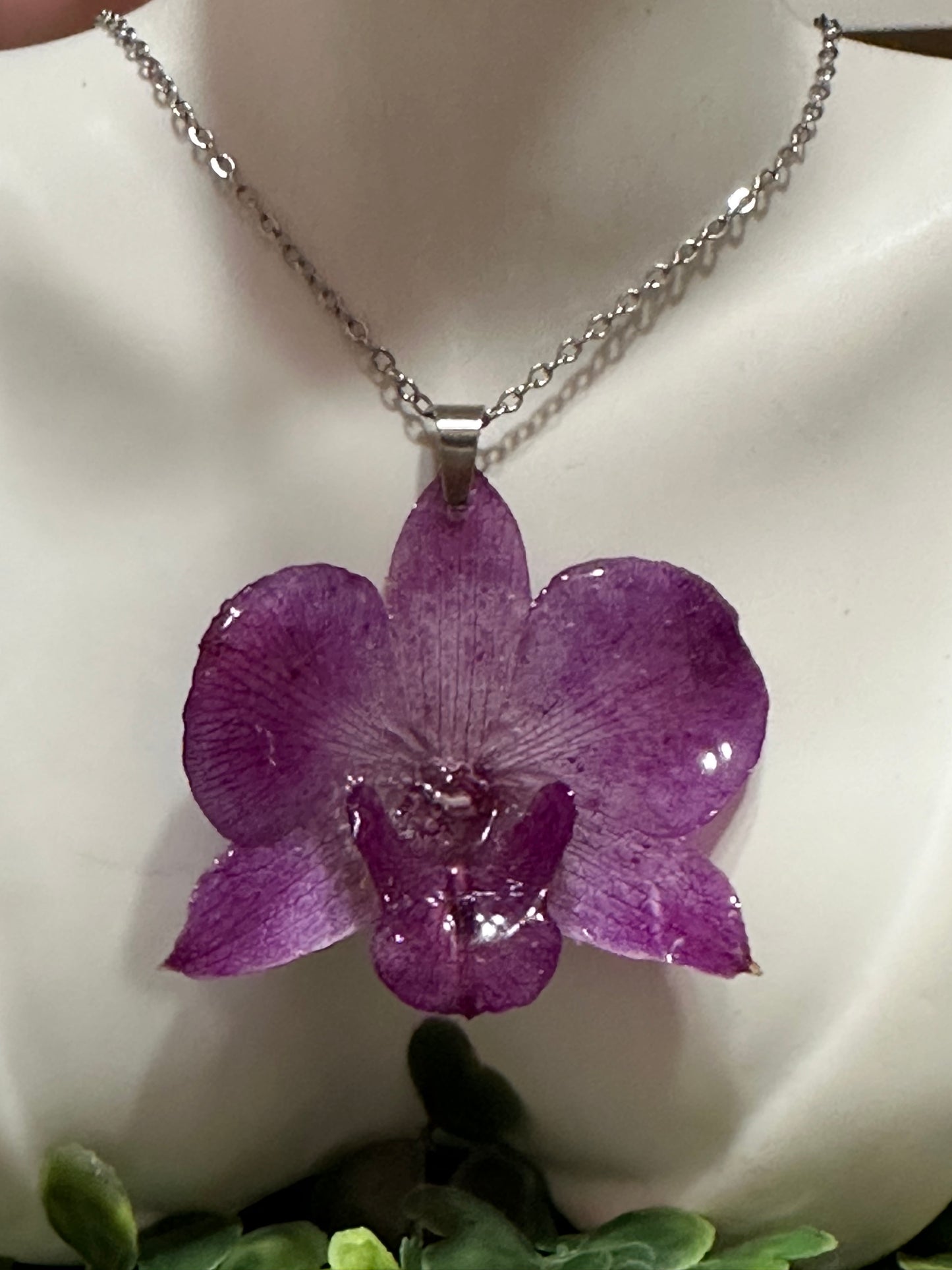 Orquídea grande