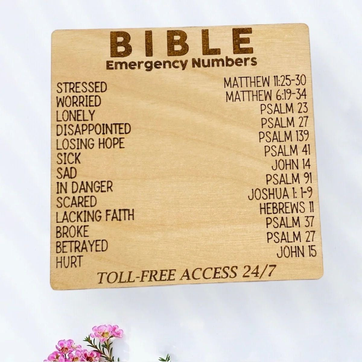 Números de emergencias de la biblia