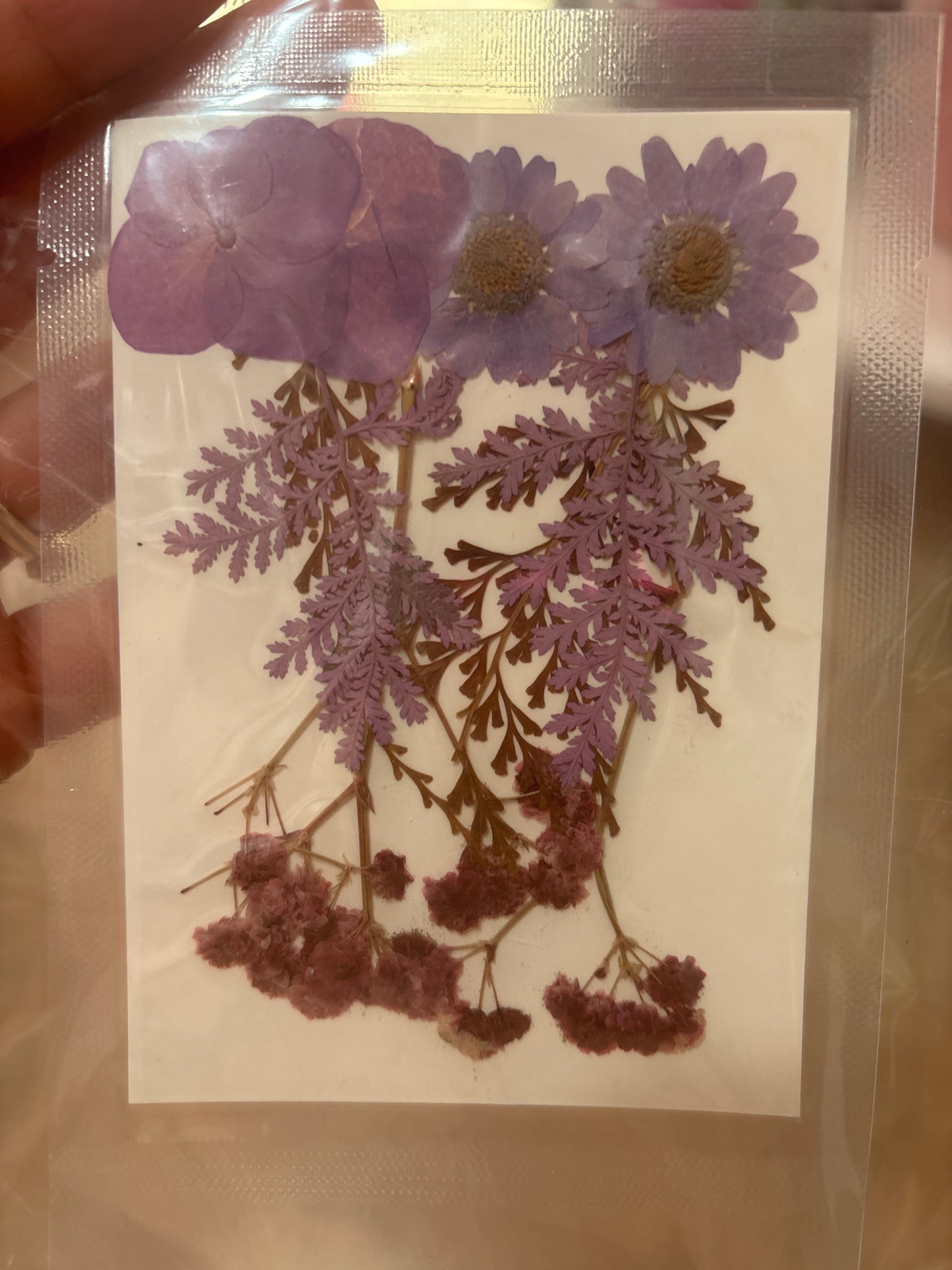 Flores secas