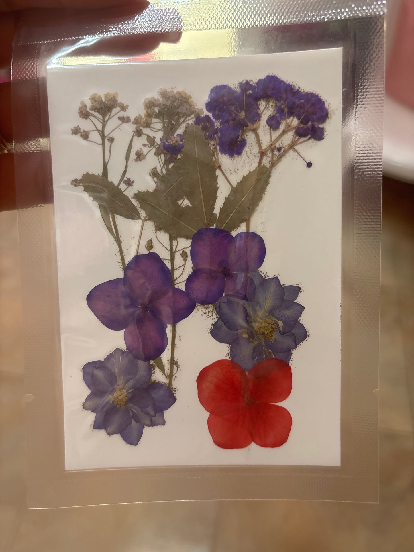 Flores secas