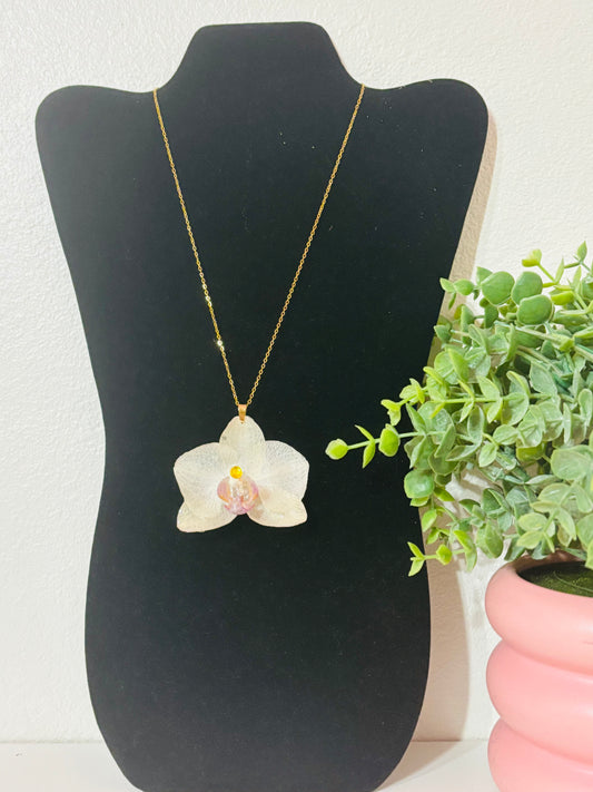 Orquídea real vitrificada