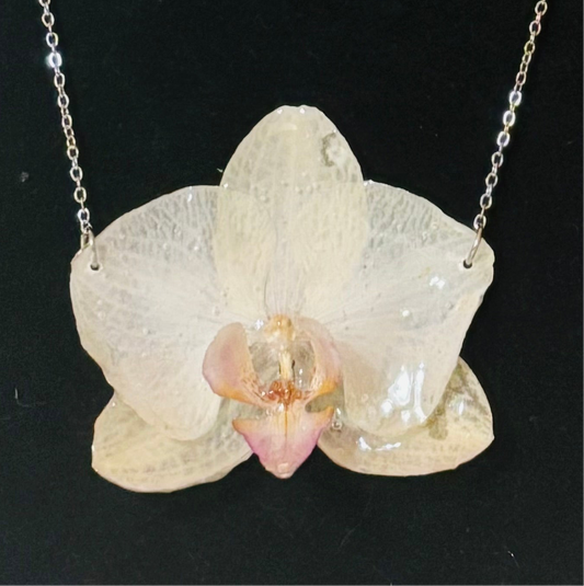 Orquídea real vitrificada