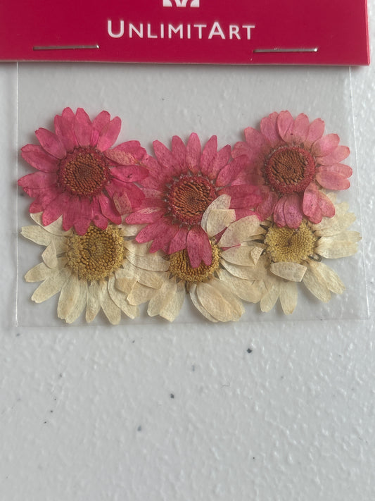 Flores secas 6 pcs