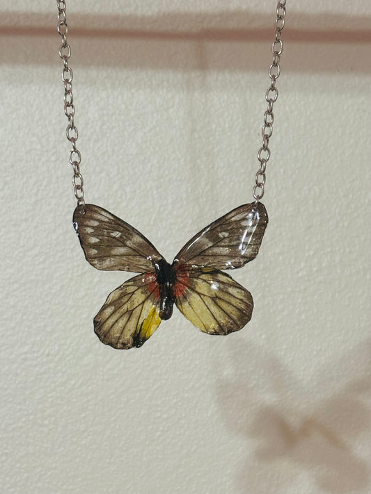 Mariposa real vitrificada