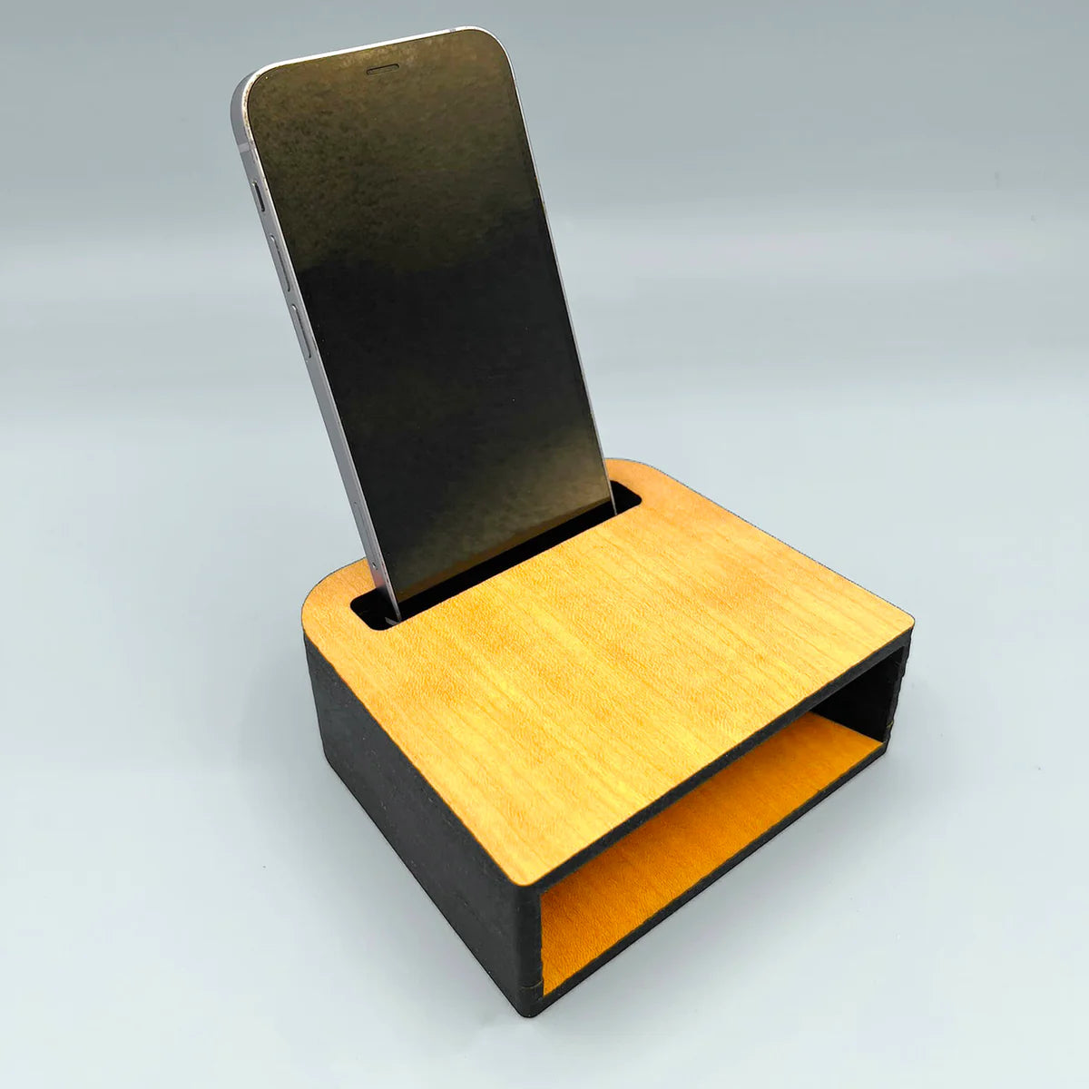 Portable Amplifier Sound Box